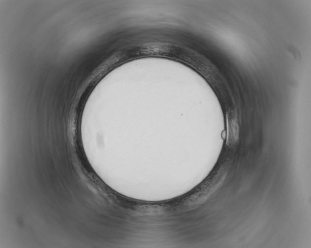 X0000112820435200910021205