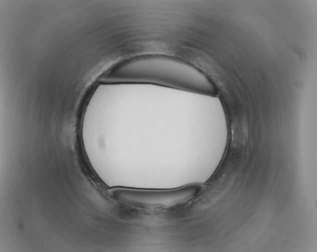 X0000112820436200910021205