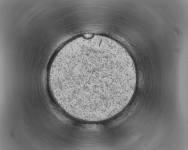 X0000112820439200910021205