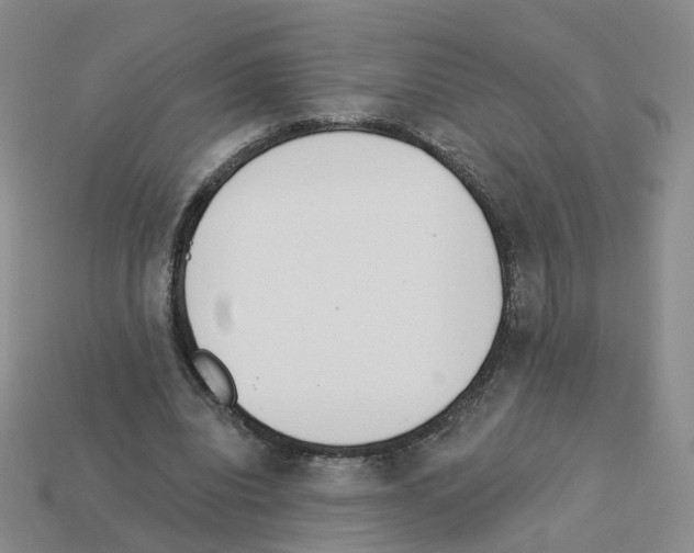 X0000112820440200910021205