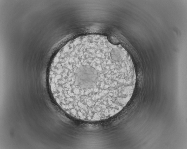 X0000112820442200910021205