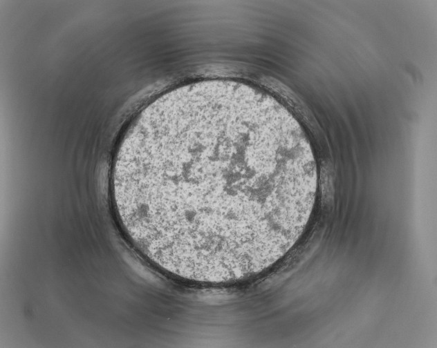 X0000112820445200910021205