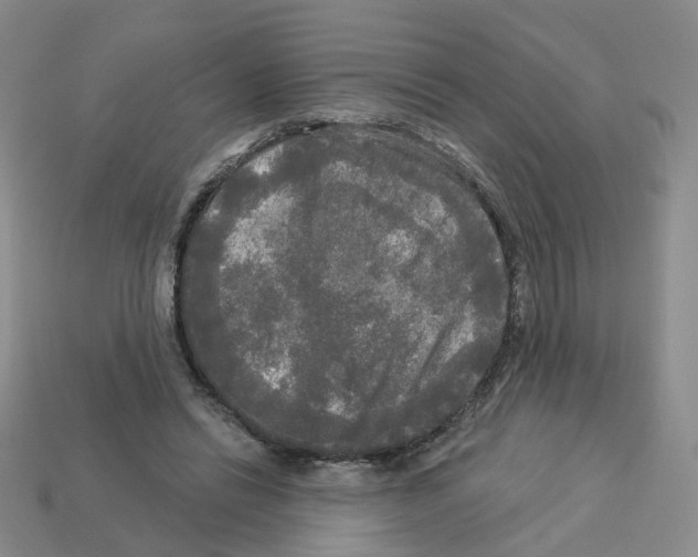 X0000112820446200910021205