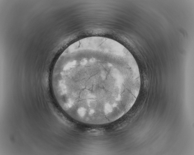 X0000112820447200910021205