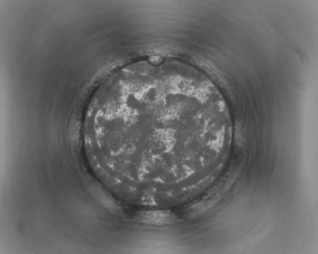 X0000112820449200910021205