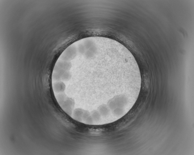 X0000112820450200910021205