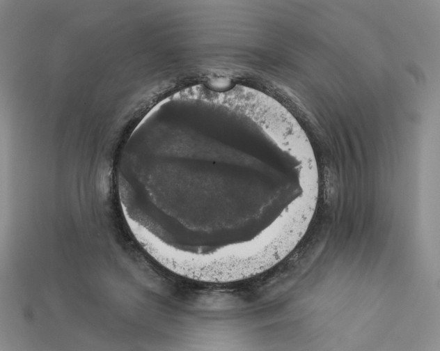 X0000112820451200910021205