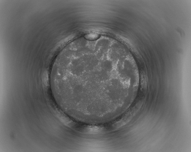 X0000112820453200910021205