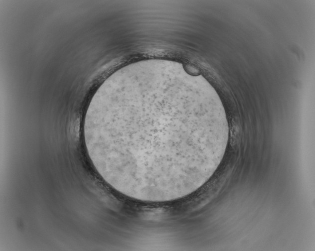 X0000112820454200910021205