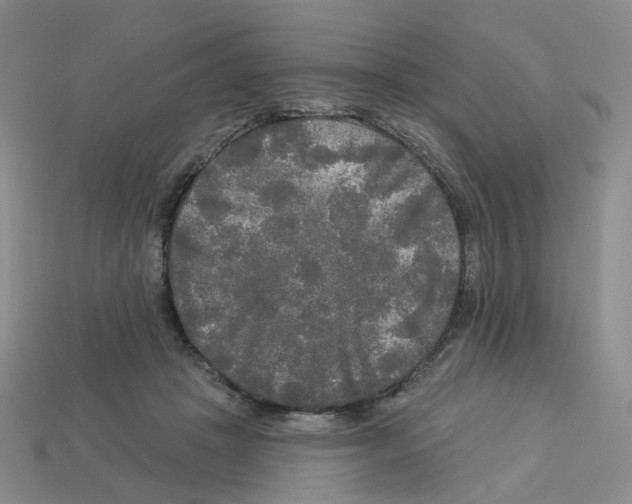 X0000112820457200910021206