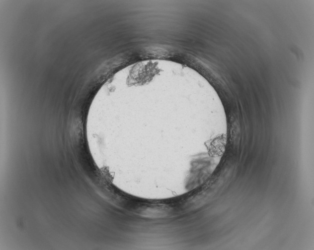 X0000112820459200910021206