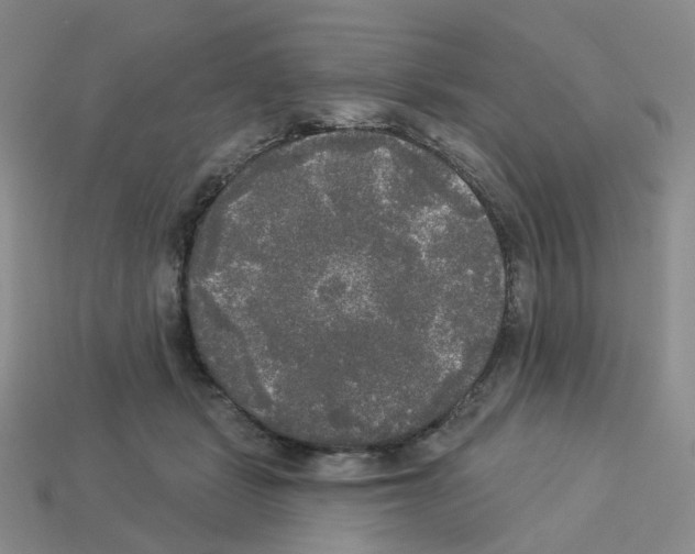 X0000112820461200910021206