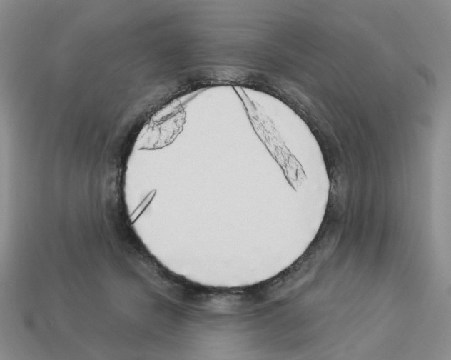 X0000112820462200910021206