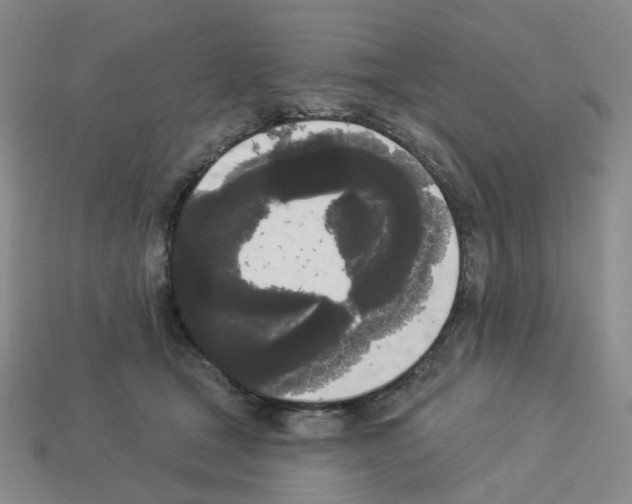 X0000112820465200910021206