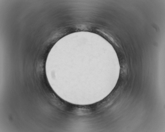 X0000112820466200910021206