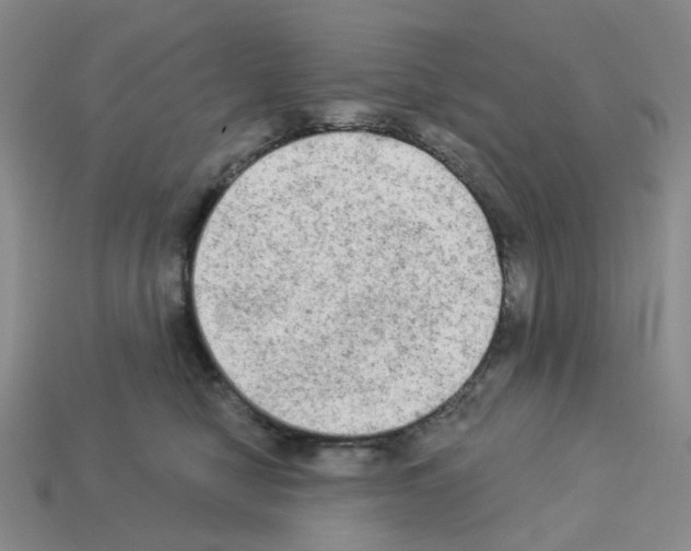 X0000112820470200910021206