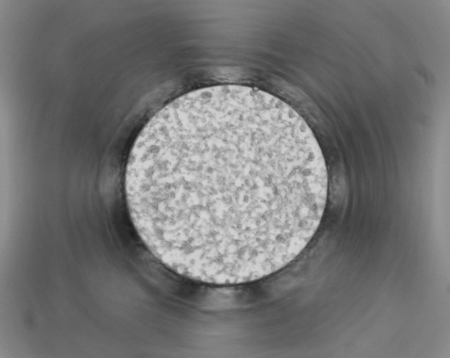 X0000112820473200910021206