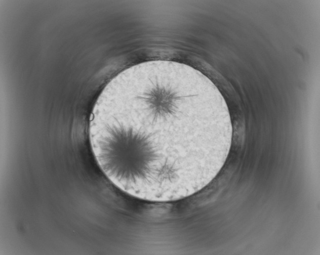 X0000112820474200910021206