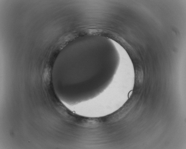 X0000112820475200910021206