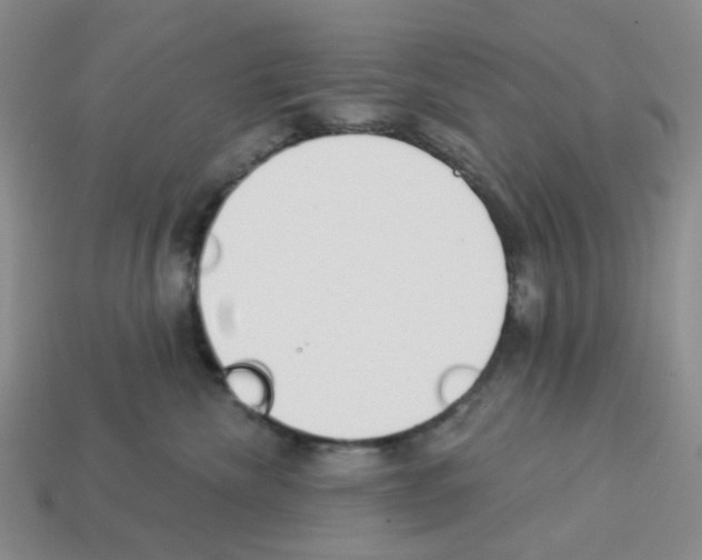 X0000112820476200910021206