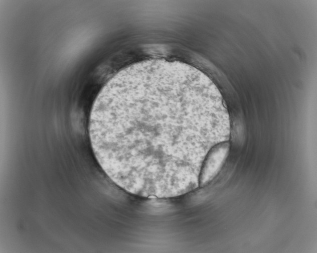 X0000112820477200910021206