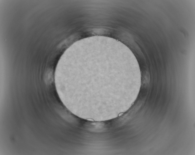 X0000112820478200910021206