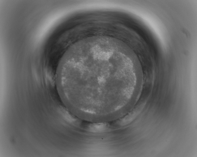 X0000112820479200910021206