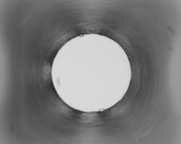 X0000112820480200910021206