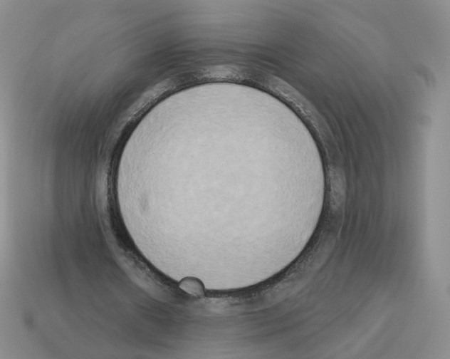 X0000112820482200910021205