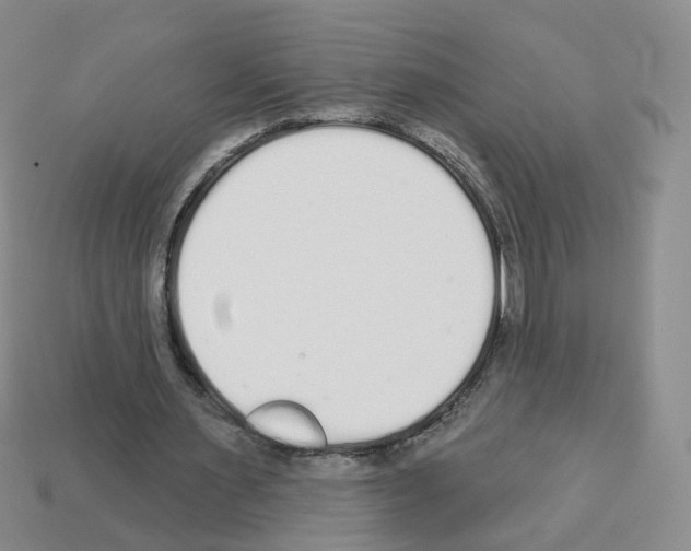 X0000112820483200910021205