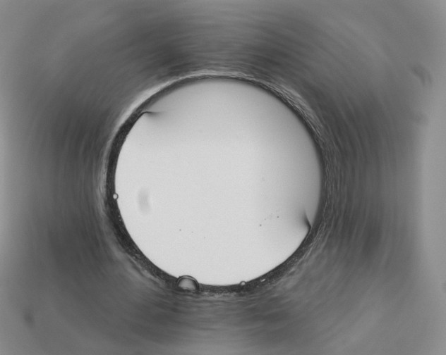 X0000112820484200910021205