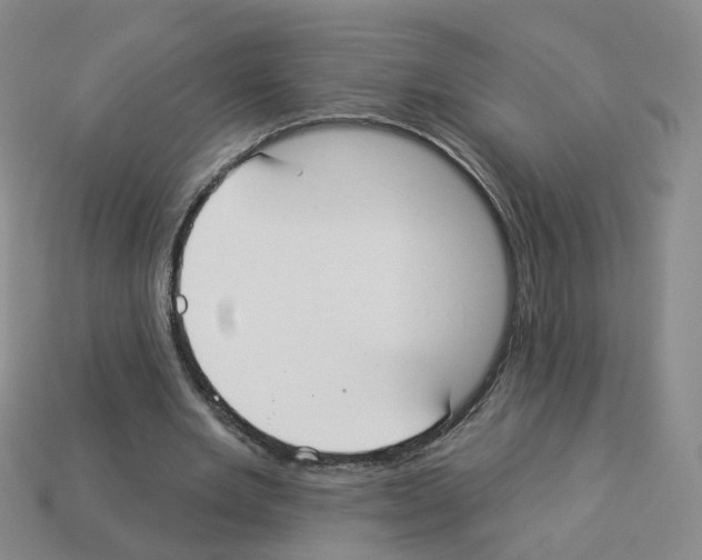 X0000112820485200910021205