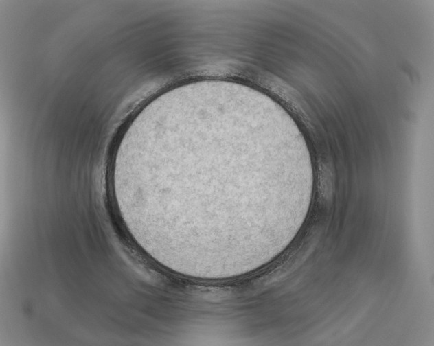 X0000112820486200910021205