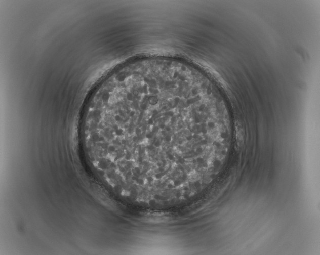 X0000112820487200910021205