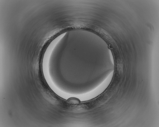 X0000112820488200910021205