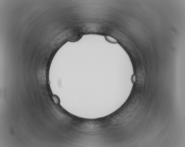 X0000112820489200910021205