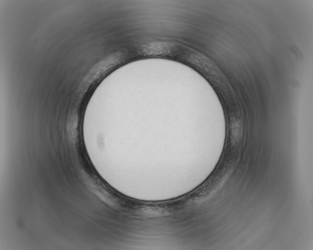 X0000112820490200910021205