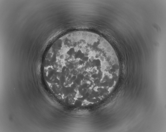 X0000112820491200910021205