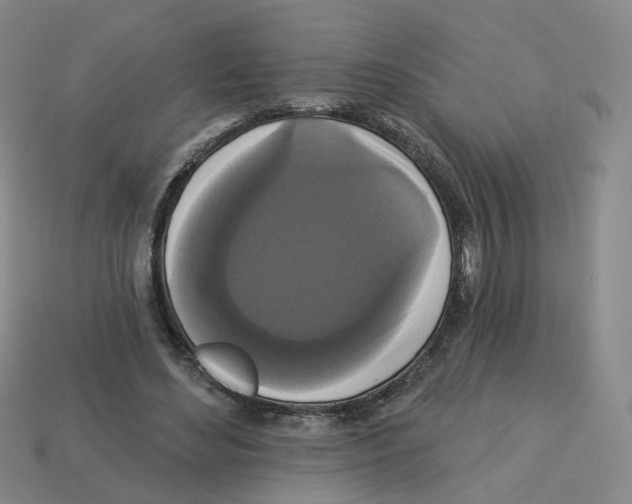 X0000112820492200910021205