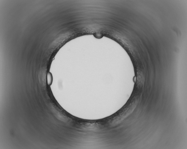 X0000112820493200910021205