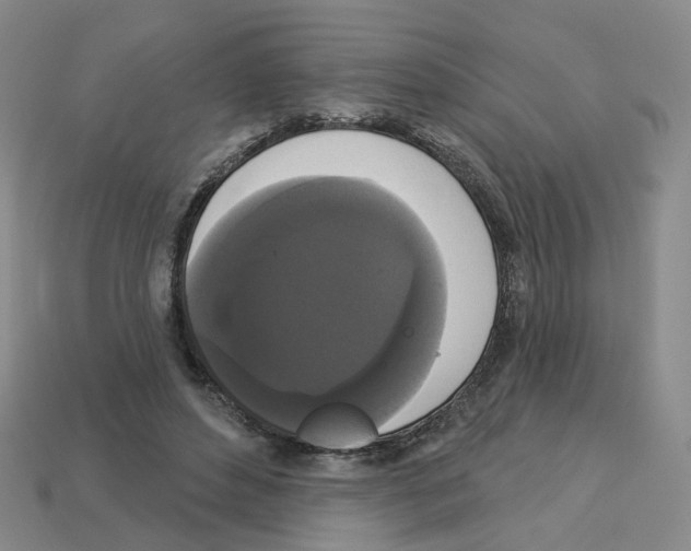 X0000112820496200910021205