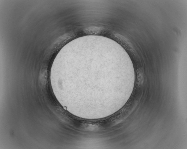 X0000112820498200910021205