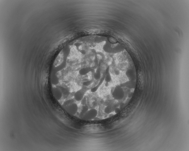 X0000112820499200910021205