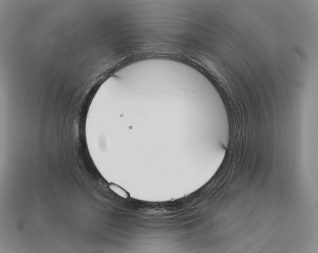 X0000112820500200910021205