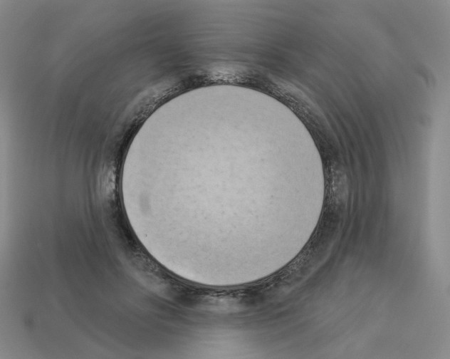 X0000112820502200910021205