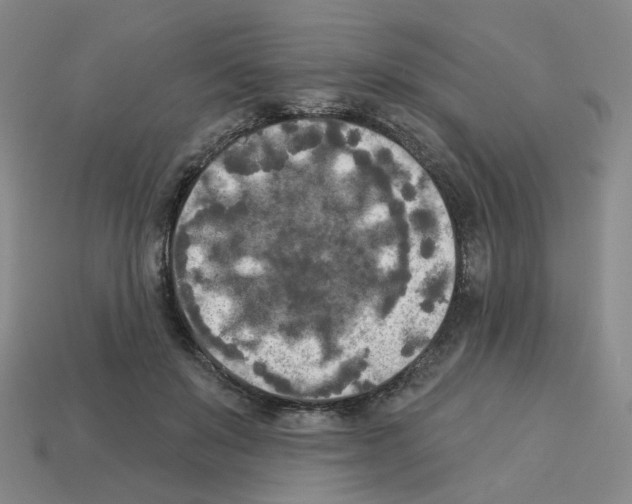 X0000112820503200910021205