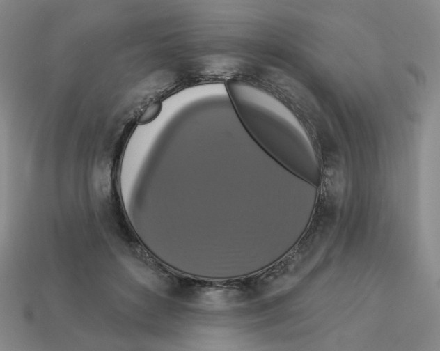 X0000112820504200910021205