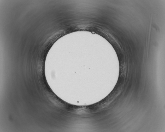 X0000112820505200910021205