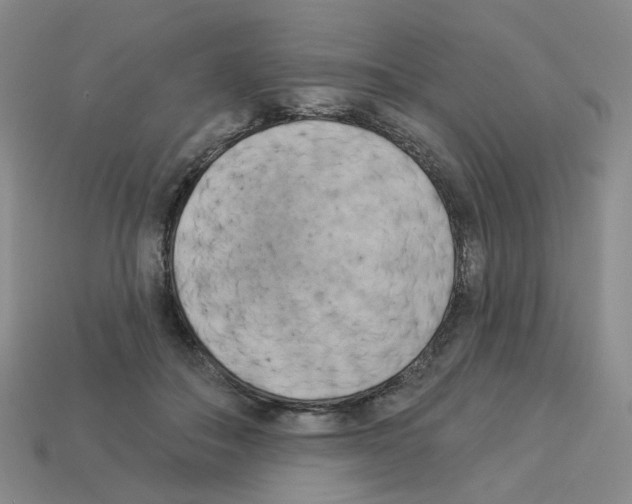 X0000112820506200910021205