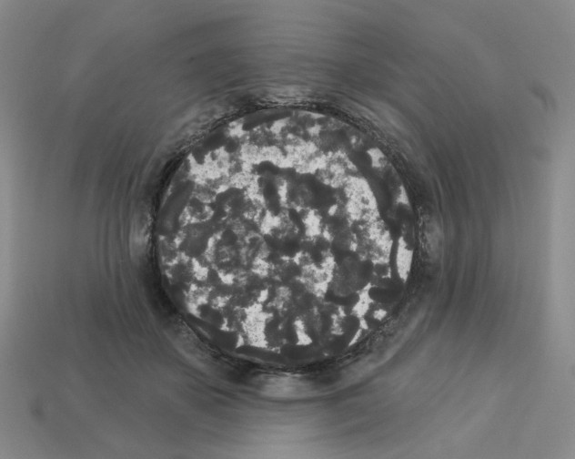 X0000112820507200910021205